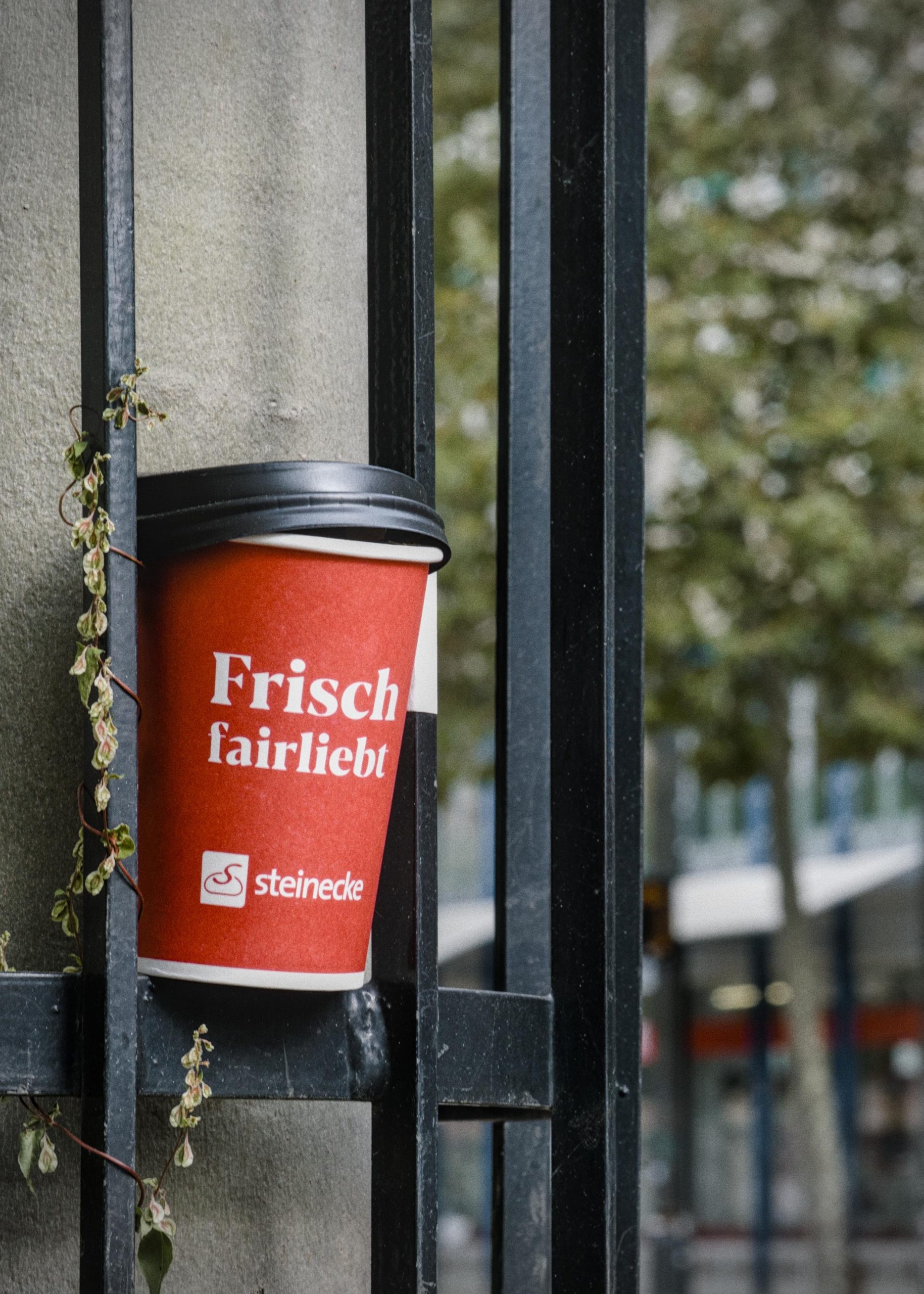 Red takeaway coffee cup with black lid wedged in a metal fence beside a concrete post, printed with the text “Frisch fairliebt” and “steinecke,” with a trailing vine on the left and blurred trees and buildings in the background.
